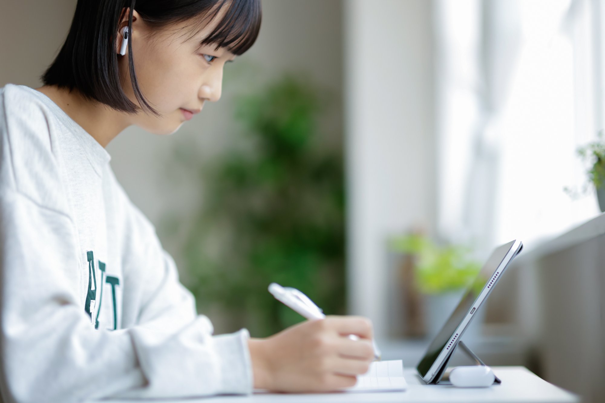 本質からの理解